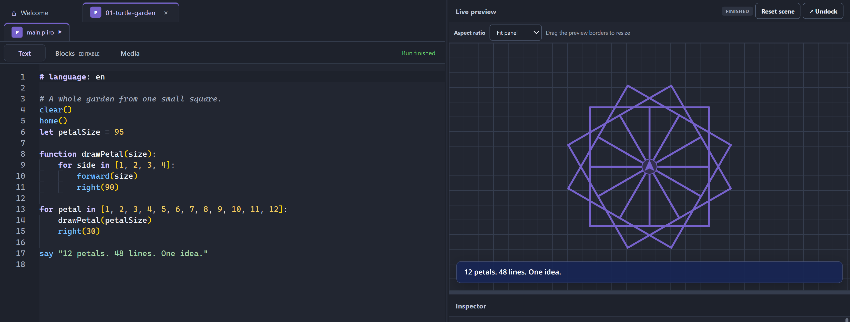 Pliro code beside a twelve-petal turtle drawing in the live preview