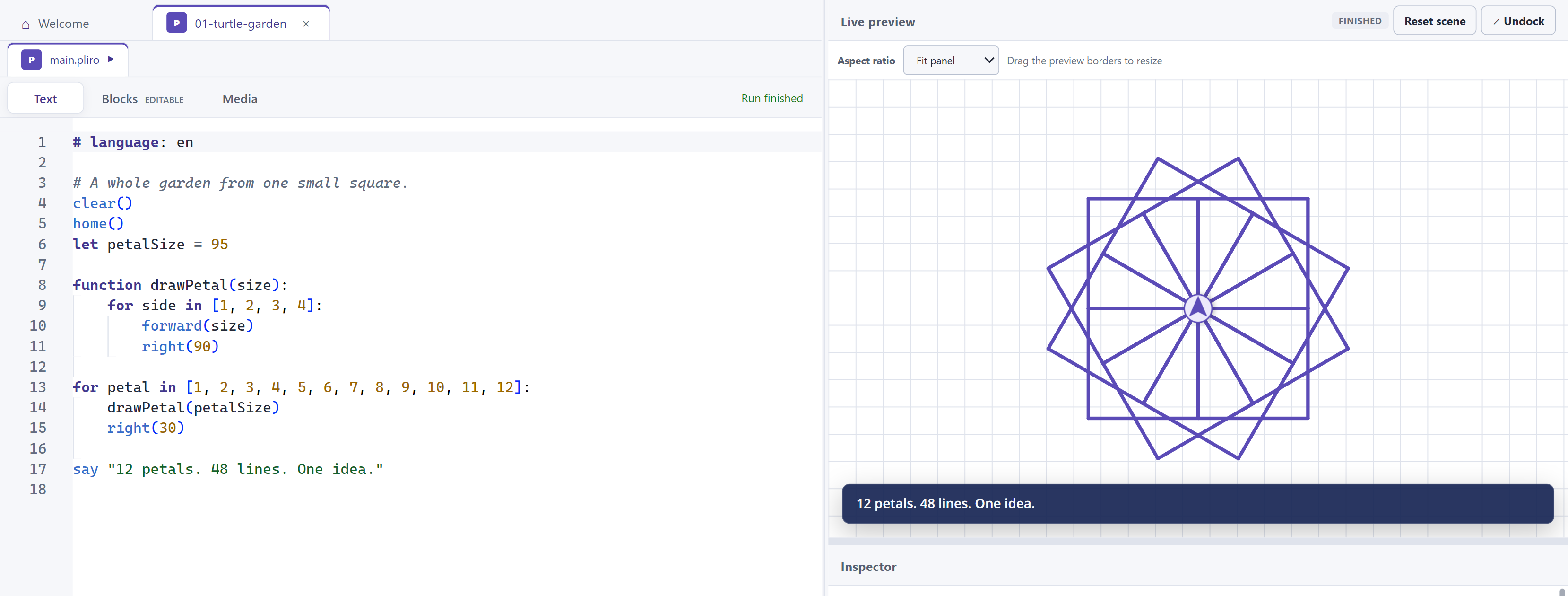 Pliro code beside a twelve-petal turtle drawing in the live preview